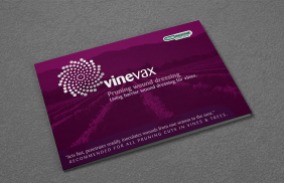 Vinevax PWD brochure redesign cover