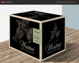 Draft design for 6 bottle shipping carton. Front view. Packaging.