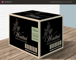 Draft design for 6 bottle shipping carton. Rear view. Packaging.