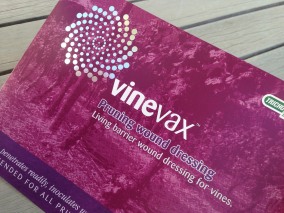 Vinevax PWD brochure redesign cover detail 1